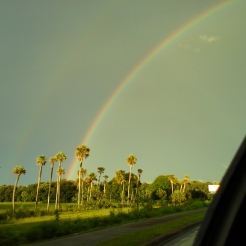 Double rainbow and palms